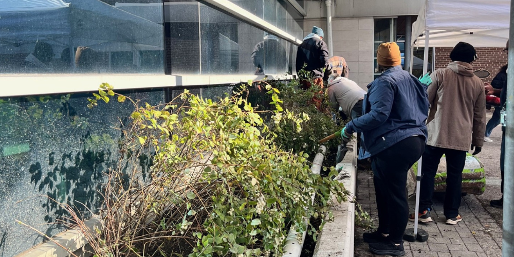 Sherbourne Health staff and volunteers from Friends of Allan Gardens cleaning up the Memorial Garden.
