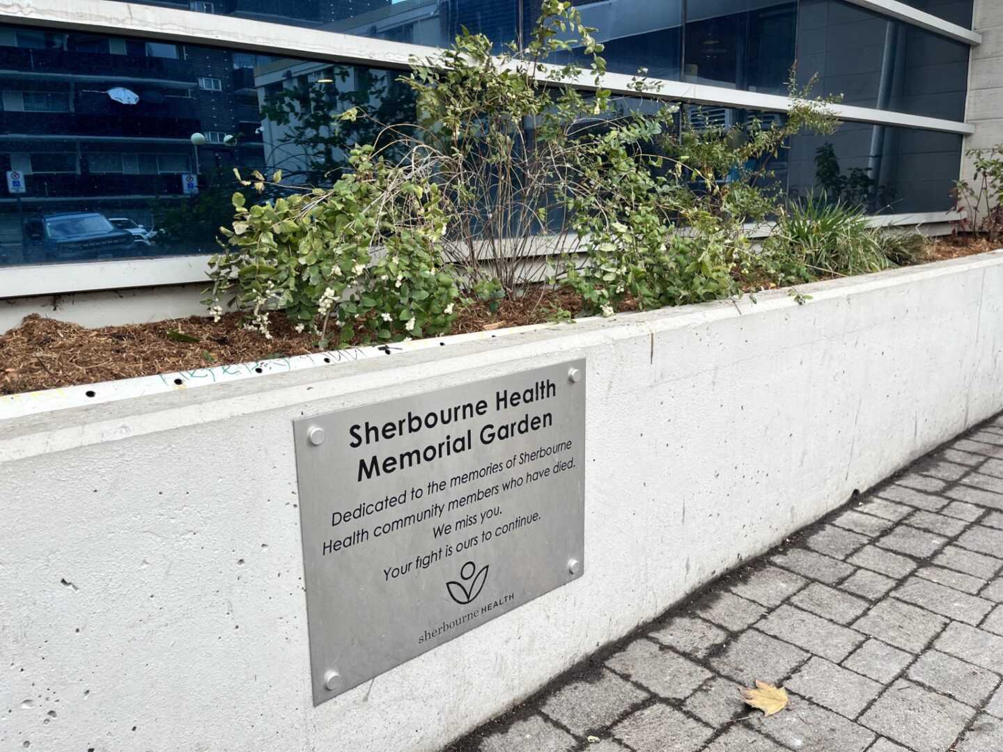 The Memorial Garden, with newly planted flora, outside of Sherbourne Health Centre.