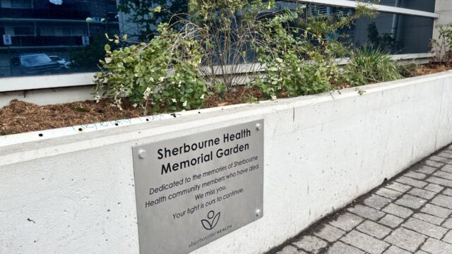 The Memorial Garden, with newly planted flora, outside of Sherbourne Health Centre.